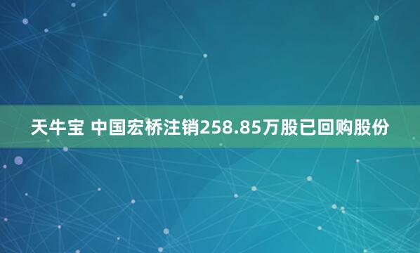 天牛宝 中国宏桥注销258.85万股已回购股份