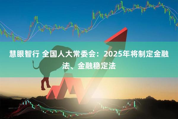 慧眼智行 全国人大常委会：2025年将制定金融法、金融稳定法