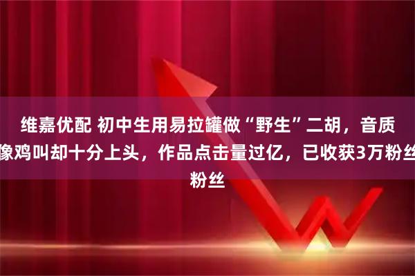 维嘉优配 初中生用易拉罐做“野生”二胡，音质像鸡叫却十分上头，作品点击量过亿，已收获3万粉丝
