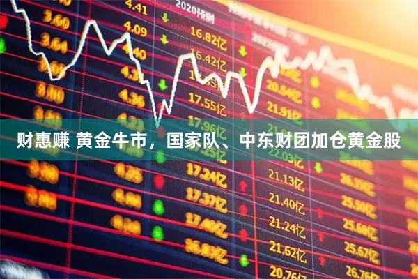 财惠赚 黄金牛市，国家队、中东财团加仓黄金股
